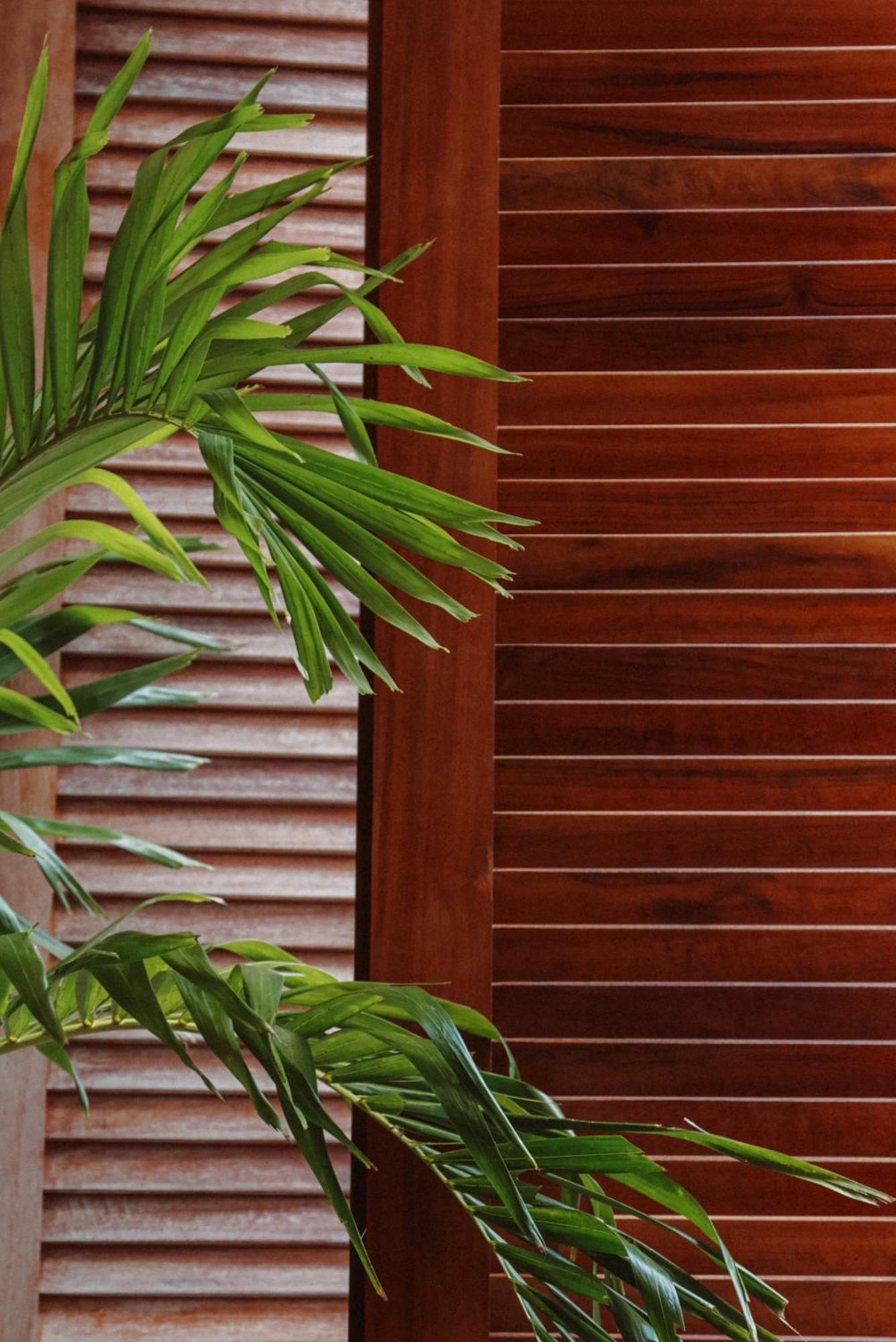 Luau Hotel Guajiru  Eksteriør bilde